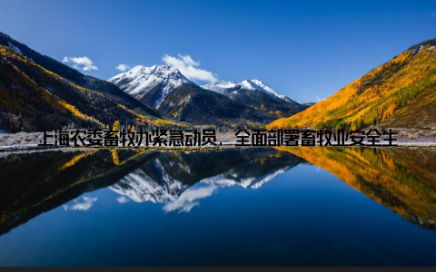 上海农委畜牧办紧急动员, 全面部署畜牧业安全生产工作, 守护舌尖上的安全为了保障市民舌尖上的安全, 近日, 上海农委畜牧办紧急召开会议, 全面部署畜牧业安全生产工作
