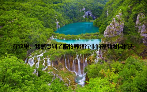 在这里, 我感受到了畜牧养殖行业的蓬勃发展和无限可能, 也深刻体会到了中国畜牧养殖信息网带给我们的行业新趋势记得第一次接触到中国畜牧养殖信息网, 是在一个阳光明媚的午后