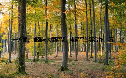 一方面, 加强与大型商超、电商平台等合作, 拓宽产品销售渠道另一方面, 举办农产品展销会, 提高产品知名度和市场竞争力