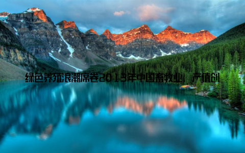 绿色养殖浪潮席卷2013年中国畜牧业, 产值创新高, 年轻一代见证发展奇迹2013年, 中国畜牧业迎来了一场前所未有的发展盛宴