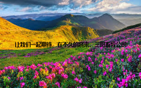 让我们一起期待, 在不久的将来, 三阳畜牧公司能带领更多的农村走向繁荣昌盛在这个充满阳光的企业里, 每一个成员都像一颗颗闪亮的星星, 汇聚成一股强大的力量, 照亮着乡村振兴的道路