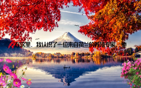 在这里, 我认识了一位来自荷兰的养殖专家, 他向我详细介绍了他们的养殖模式, 让我对畜牧业有了更深的认识