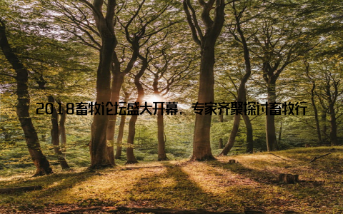 2018畜牧论坛盛大开幕, 专家齐聚探讨畜牧行业未来趋势近日, 以畜牧行业未来趋势为主题的2018畜牧论坛在我国某城市隆重开幕