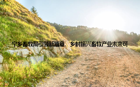 宁乡畜牧局引领新篇章, 乡村振兴畜牧产业未来可期! 在美丽的湖南宁乡, 一场关于乡村振兴的畜牧产业革命正在悄然上演