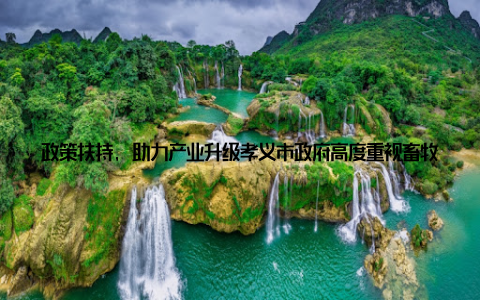 政策扶持, 助力产业升级孝义市政府高度重视畜牧产业发展, 出台了一系列政策措施, 加大对畜牧产业的扶持力度