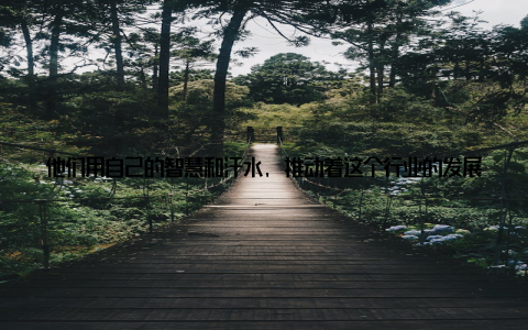 他们用自己的智慧和汗水, 推动着这个行业的发展在我与行业的对决中, 我深刻体会到了一个道理只有不断学习, 才能跟上时代的步伐