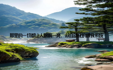 那里的一切都让人眼前一亮, 从自动化的喂食系统到智能的温度控制系统, 再到环保的粪便处理设备, 无不彰显着科技的力量