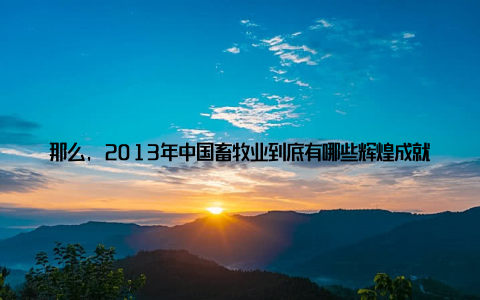那么, 2013年中国畜牧业到底有哪些辉煌成就呢? 在产量方面, 2013年中国畜牧业取得了历史性的突破