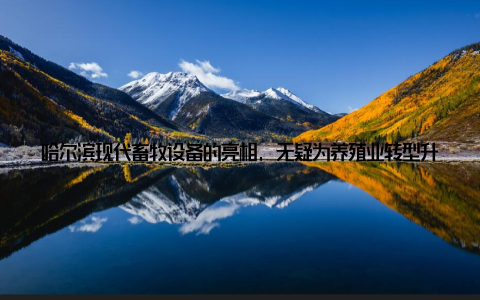 哈尔滨现代畜牧设备的亮相, 无疑为养殖业转型升级提供了有力支持 提高养殖效率哈尔滨现代畜牧设备采用智能化、自动化技术, 能够有效提高养殖效率
