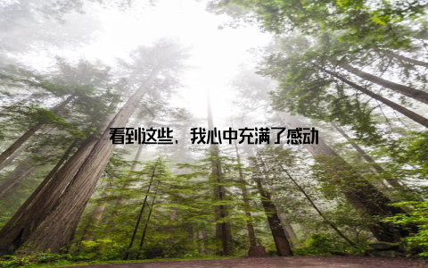 看到这些, 我心中充满了感动