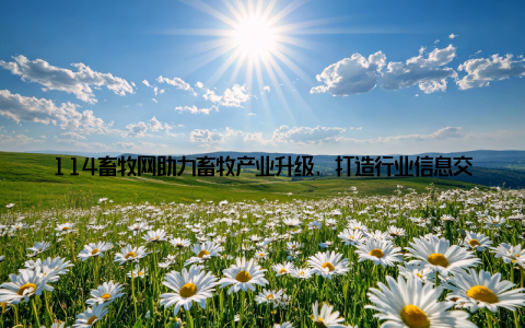 114畜牧网助力畜牧产业升级, 打造行业信息交流新平台, 引领年轻一代共赴农业新时代在现代农业的浪潮中, 畜牧产业作为农业的重要组成部分, 正经历着前所未有的变革