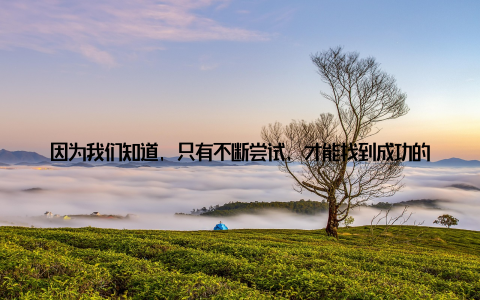 因为我们知道, 只有不断尝试, 才能找到成功的路径如今, 我们的产品已经远销国内外, 得到了消费者的广泛认可