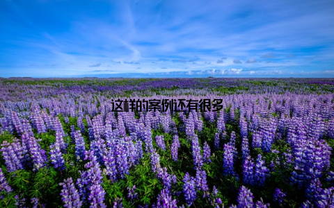 这样的案例还有很多