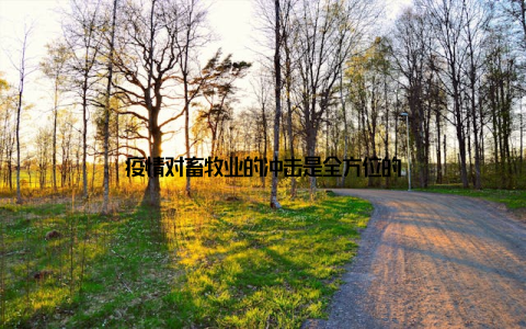 疫情对畜牧业的冲击是全方位的