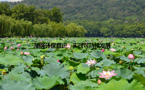 加强环保意识, 实现可持续发展