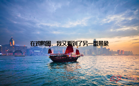 在鸡鸭圈, 我又看到了另一番景象