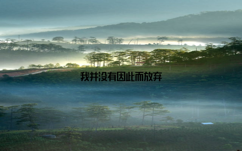 我并没有因此而放弃