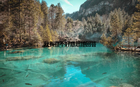 我有些不好意思地回答