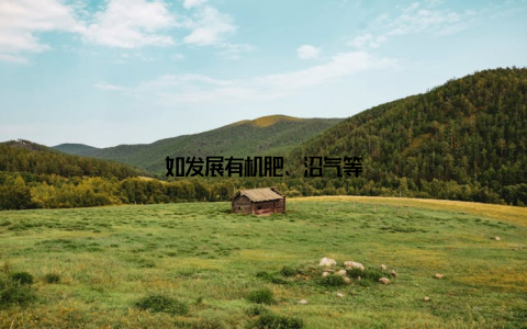 如发展有机肥、沼气等