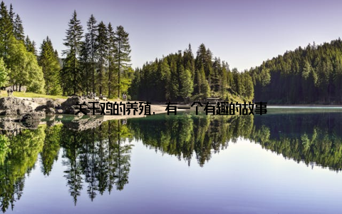 关于鸡的养殖, 有一个有趣的故事