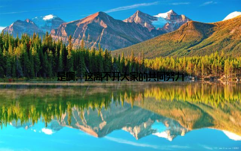 是啊, 这离不开大家的共同努力