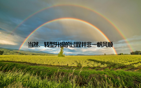 当然, 转型升级的过程并非一帆风顺