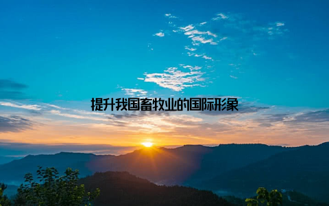 提升我国畜牧业的国际形象