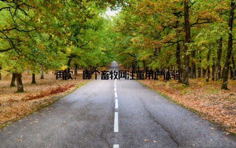 再次, 哪个畜牧网注重用户体验