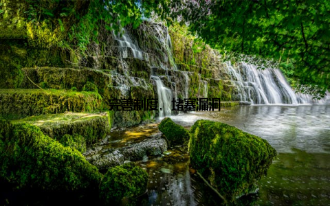 完善制度, 堵塞漏洞