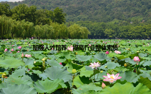 加强人才培养, 提高行业整体素质