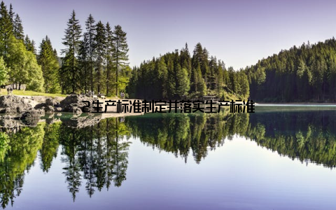 2生产标准制定并落实生产标准