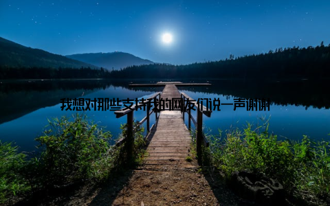 我想对那些支持我的网友们说一声谢谢