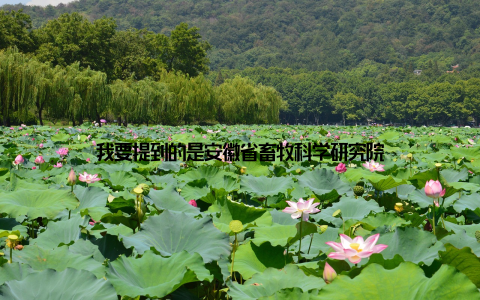 我要提到的是安徽省畜牧科学研究院