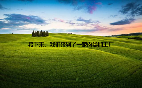 接下来, 我们来到了一家肉类加工厂