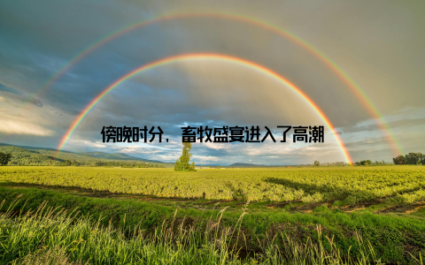 傍晚时分, 畜牧盛宴进入了高潮