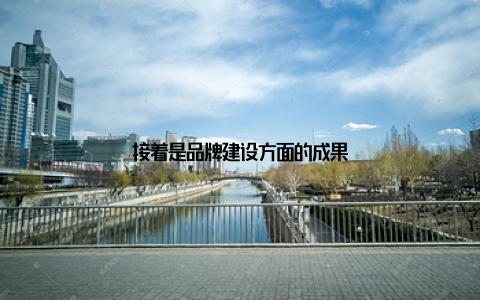 接着是品牌建设方面的成果