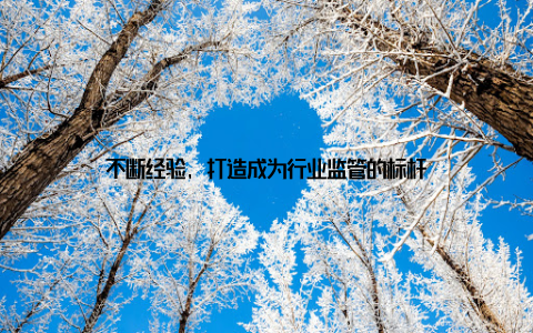 不断经验, 打造成为行业监管的标杆