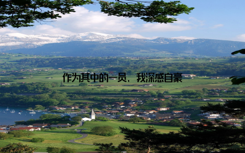 作为其中的一员, 我深感自豪