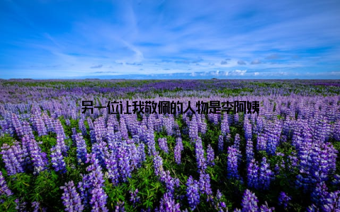 另一位让我敬佩的人物是李阿姨