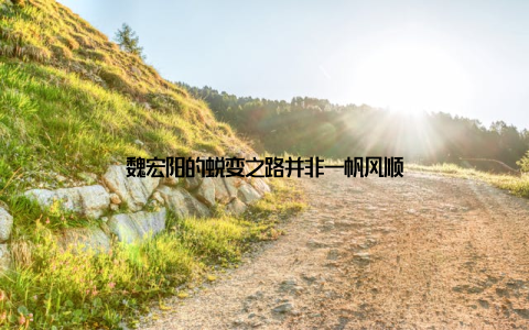 魏宏阳的蜕变之路并非一帆风顺