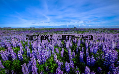 我听了他的话, 心里不禁一阵感动