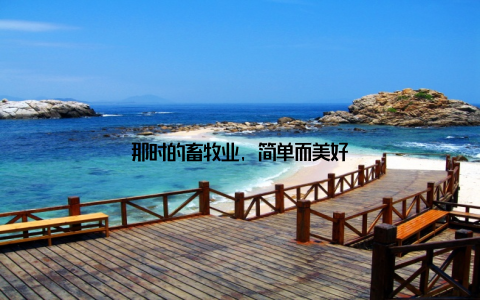 那时的畜牧业, 简单而美好