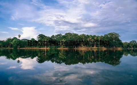 经济效益是畜牧业面临的第二个挑战