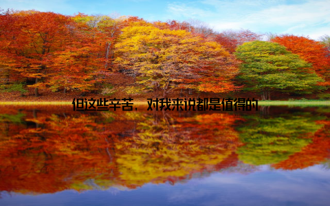 但这些辛苦, 对我来说都是值得的