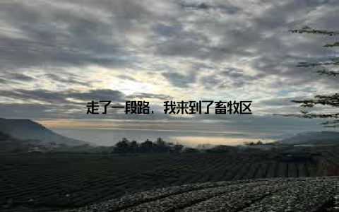 走了一段路, 我来到了畜牧区