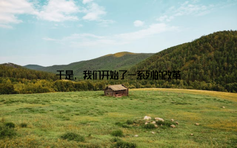 于是, 我们开始了一系列的改革