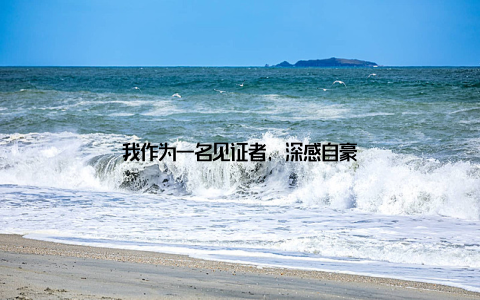 我作为一名见证者, 深感自豪