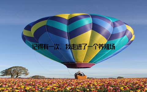 记得有一次, 我走进了一个养殖场