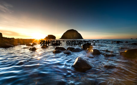 强化监督, 保障屠宰安全