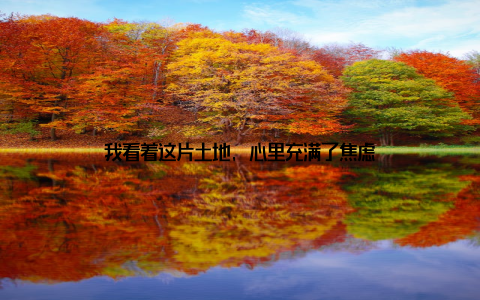 我看着这片土地, 心里充满了焦虑